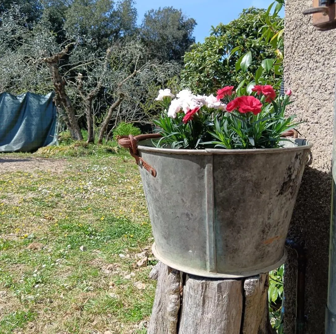 Quarto em Acomodações Particulares Camere Nel Bosco Sulla Via Francigena Monteriggioni Itália