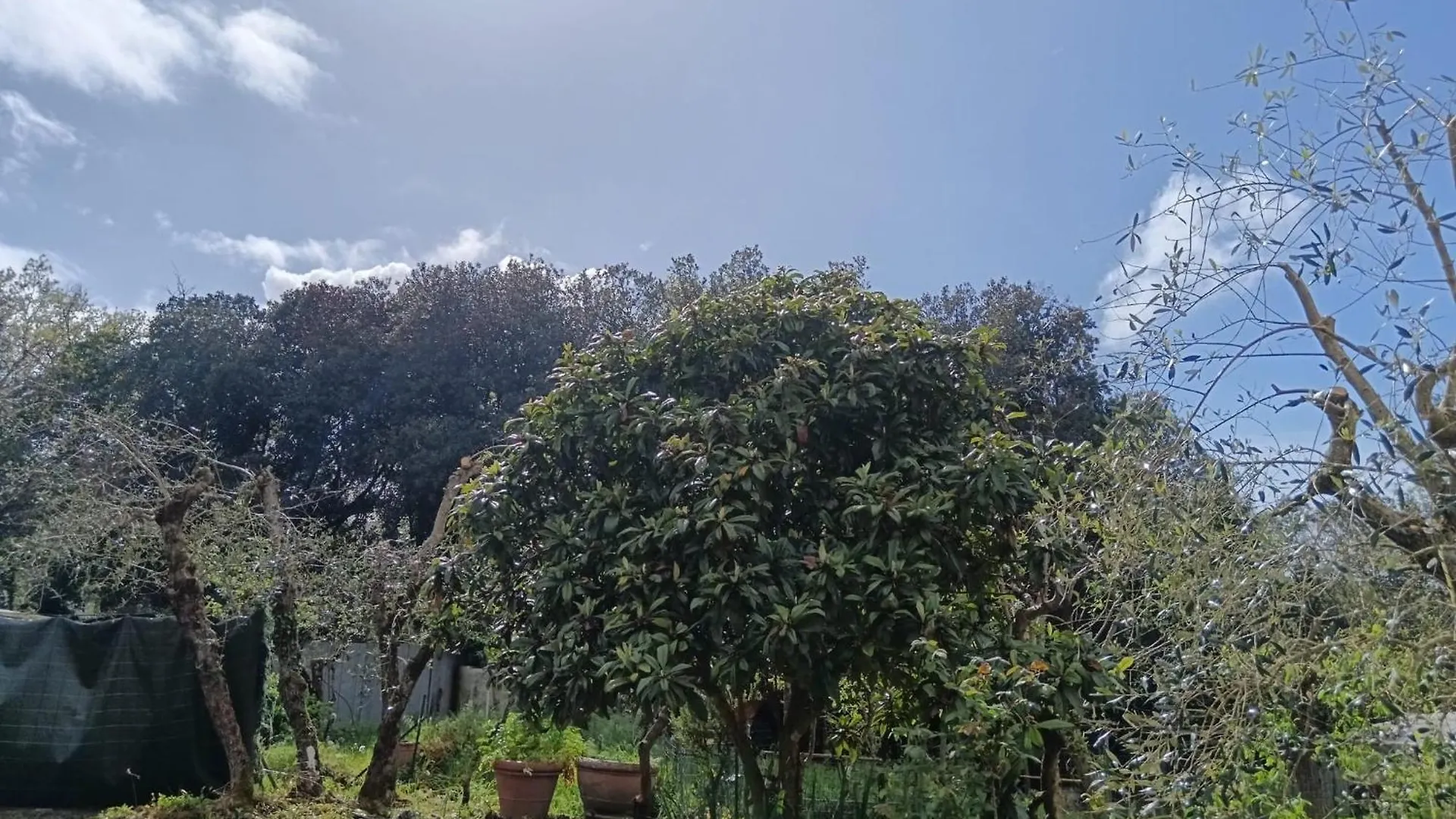 Camere Nel Bosco Sulla Via Francigena Monteriggioni Itália