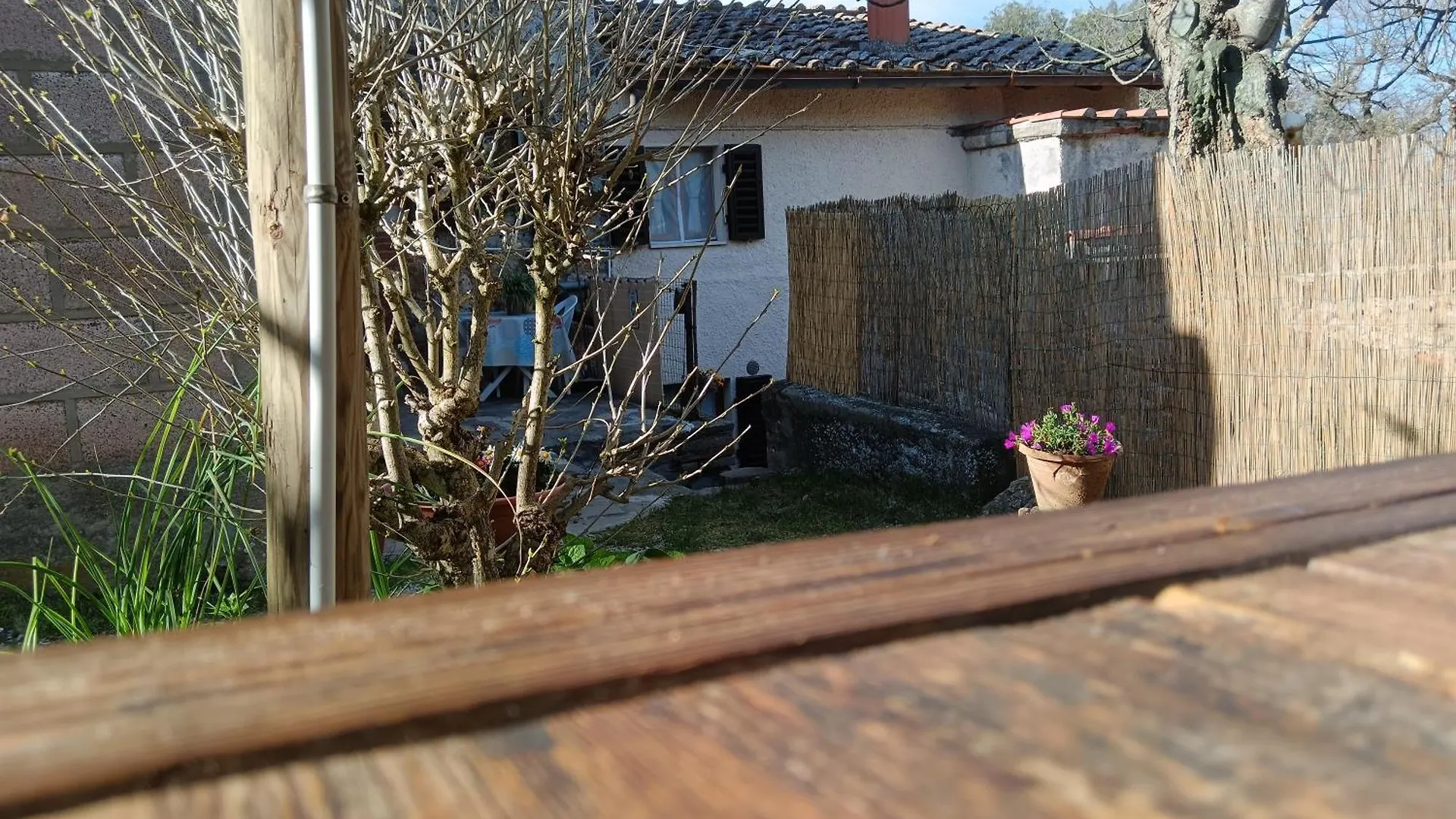 Camere Nel Bosco Sulla Via Francigena Monteriggioni Quarto em Acomodações Particulares