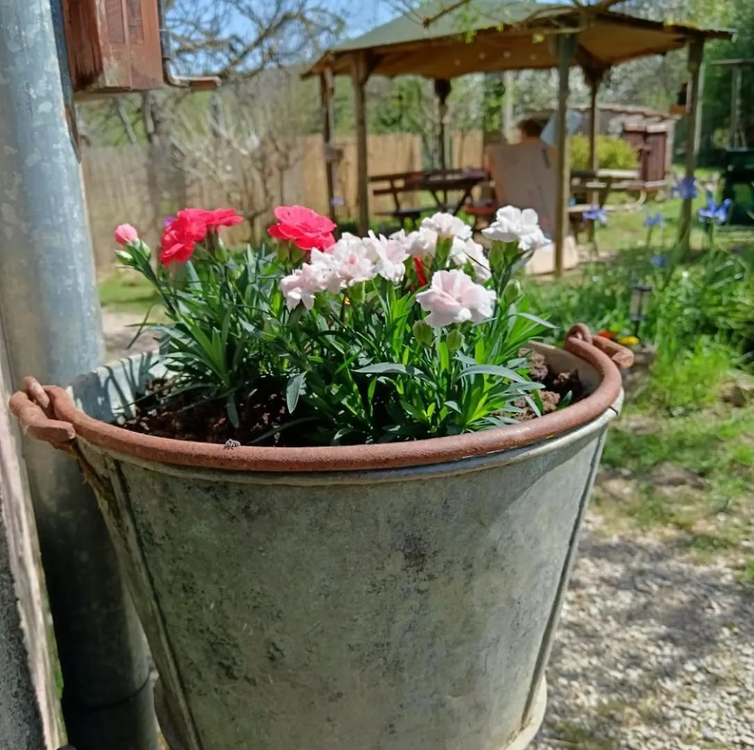 Camere Nel Bosco Sulla Via Francigena Монтериджиони Проживание в семье
